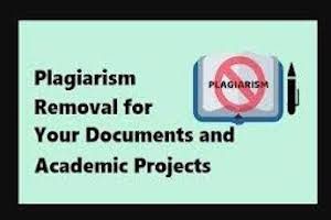 Plagiarism Removal Services by raavi shodh